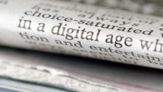 Sådan overlever din virksomhed i en digital tidsalder - Erhvervsnyheder - Business nyheder - businessNEWS