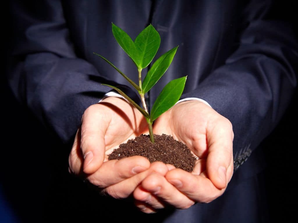 Business consulting: vejledning til eksekvering af planer