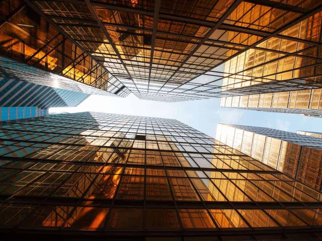 Business development og internationale muligheder